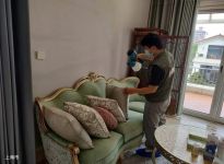 如何去除氨气超标